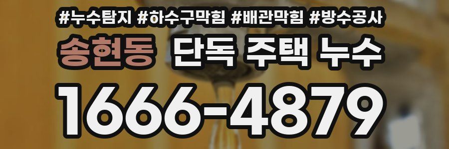 송현동 단독 주택 누수