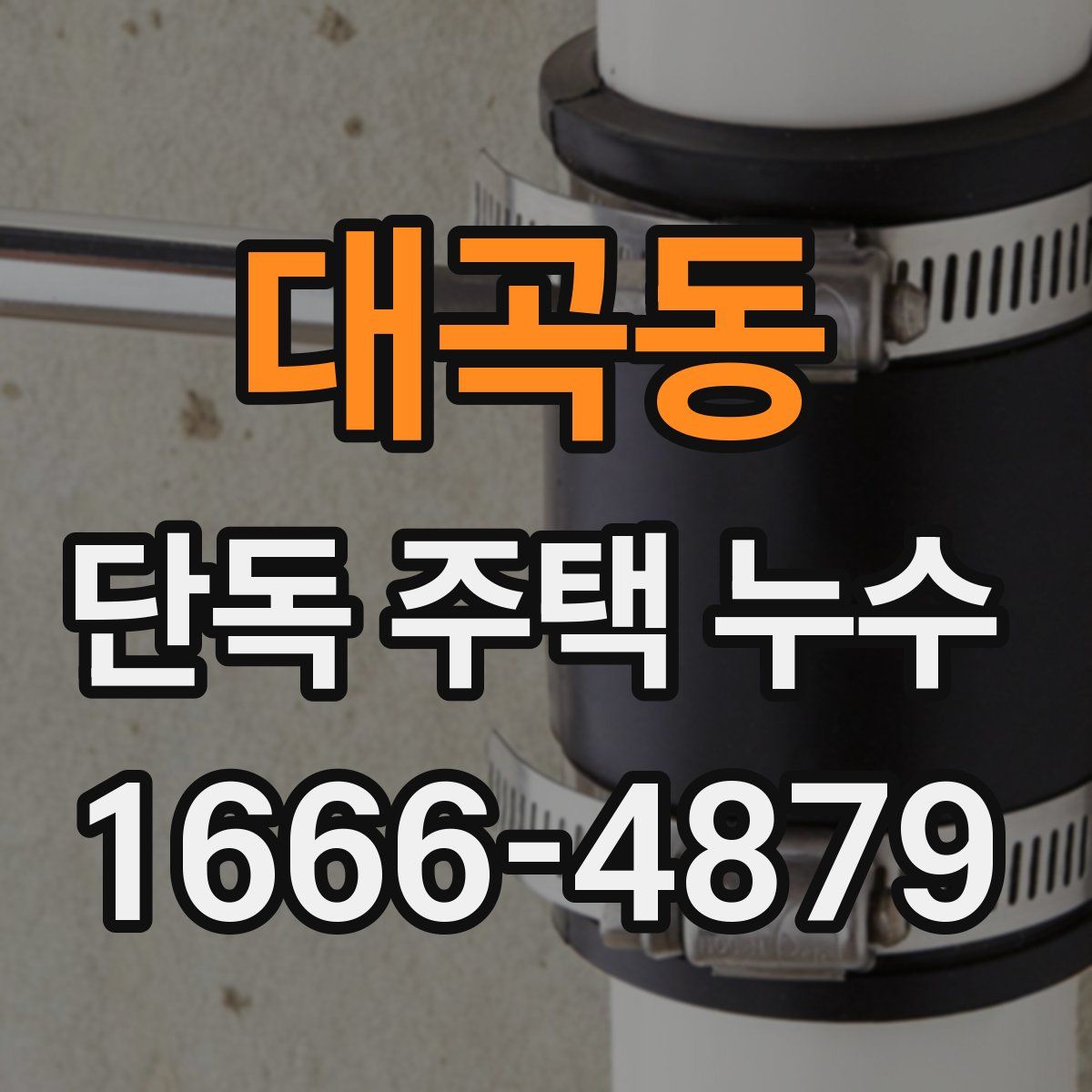 대곡동 단독 주택 누수