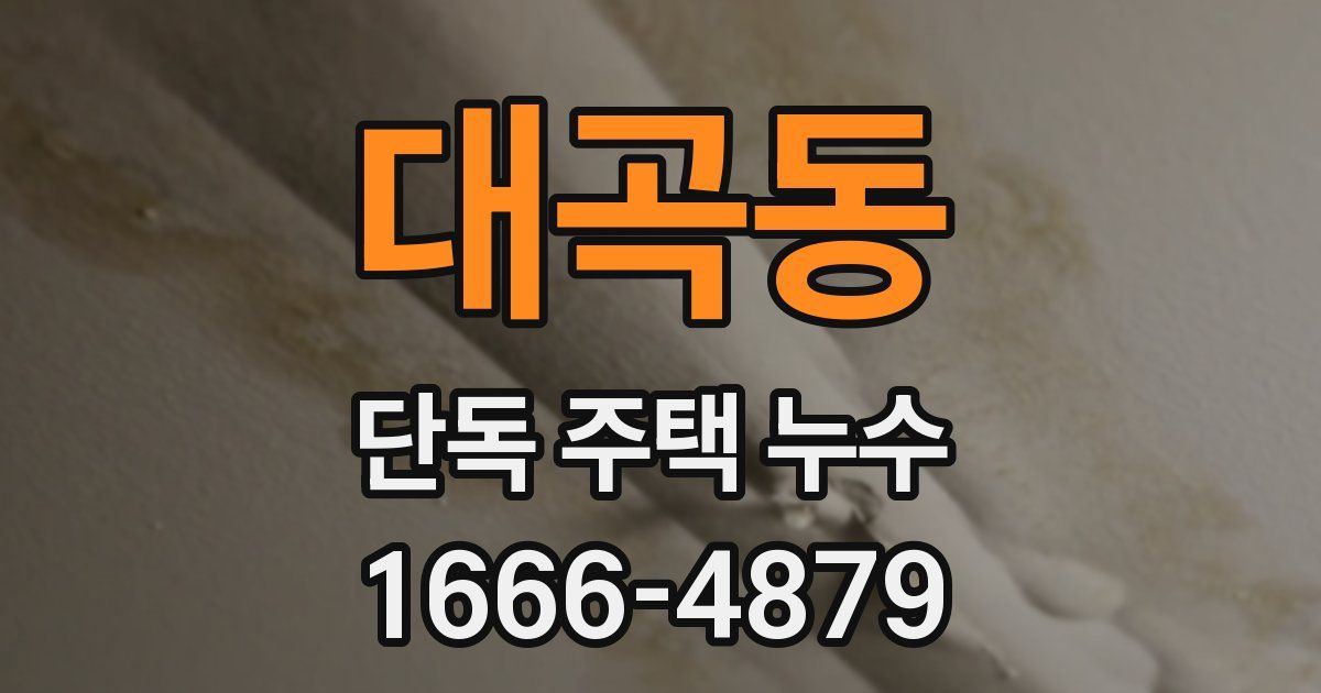 대곡동 단독 주택 누수