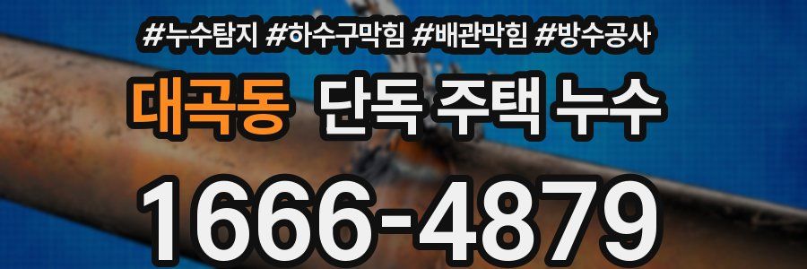 대곡동 단독 주택 누수