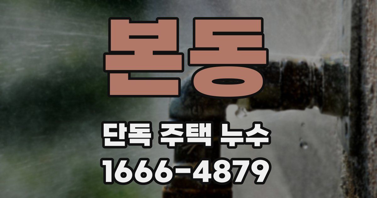 본동 단독 주택 누수
