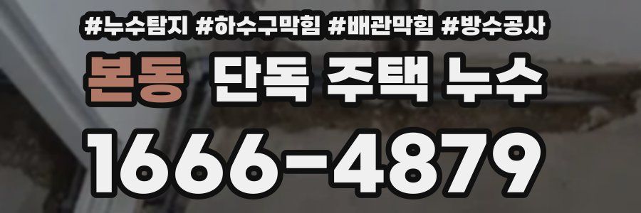 본동 단독 주택 누수