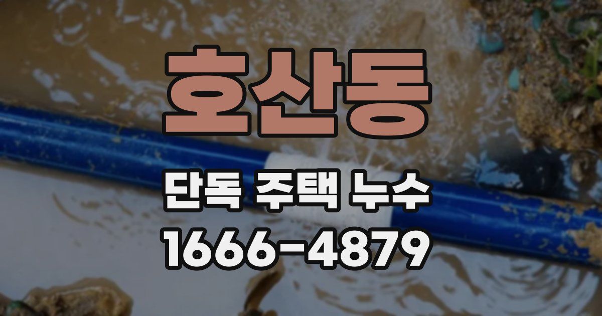 호산동 단독 주택 누수