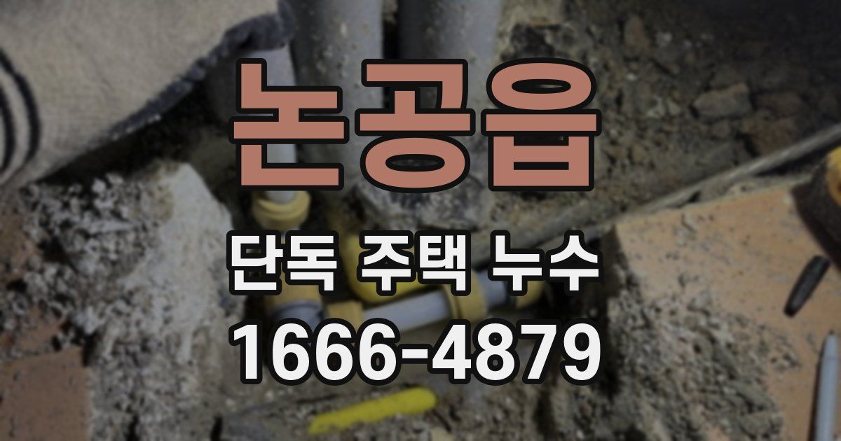 논공읍 단독 주택 누수