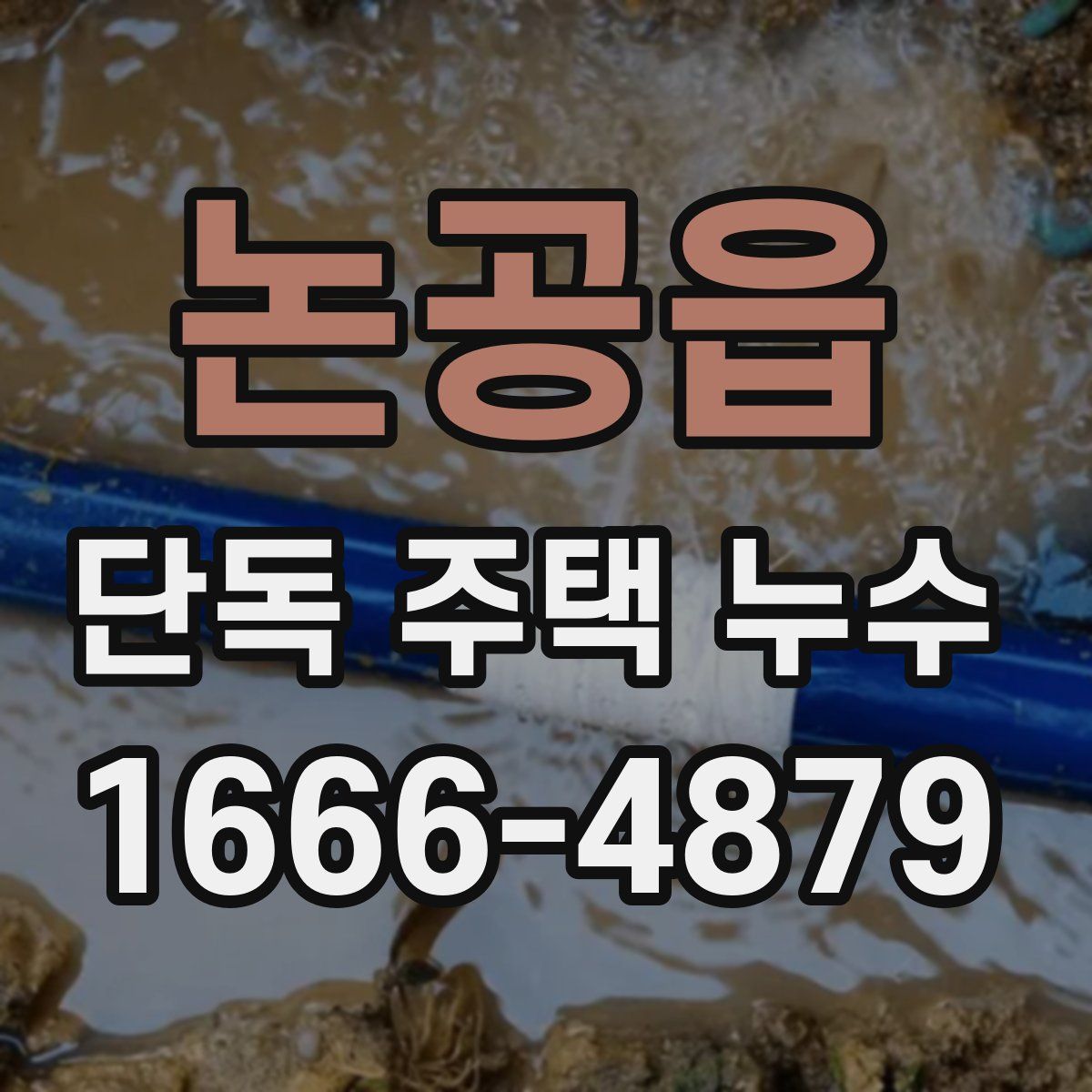 논공읍 단독 주택 누수