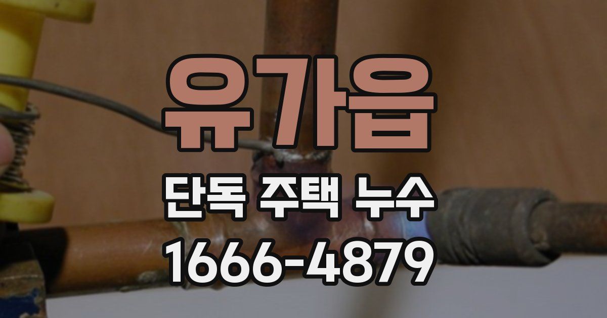 유가읍 단독 주택 누수