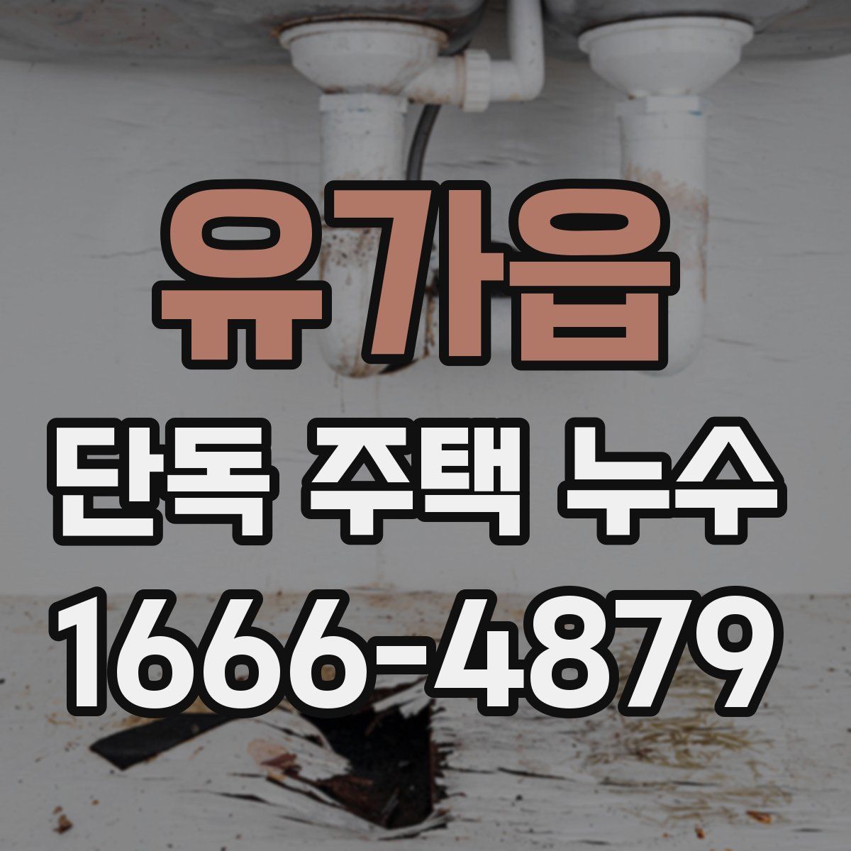 유가읍 단독 주택 누수