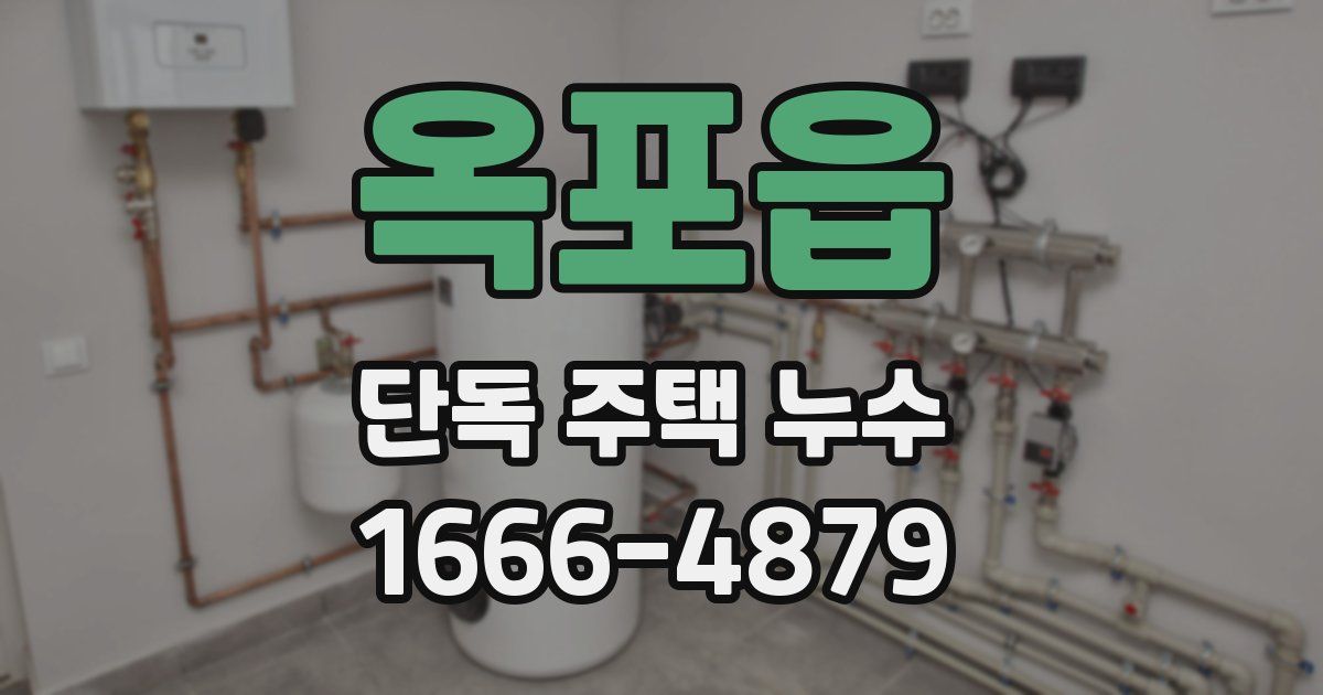 옥포읍 단독 주택 누수