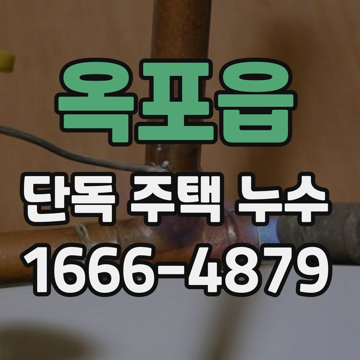 옥포읍 단독 주택 누수