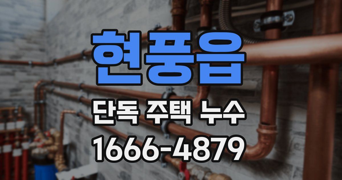 현풍읍 단독 주택 누수