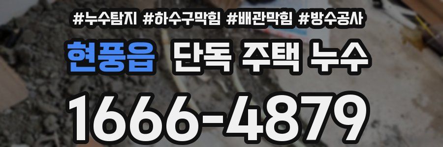 현풍읍 단독 주택 누수
