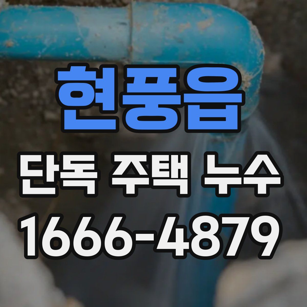 현풍읍 단독 주택 누수