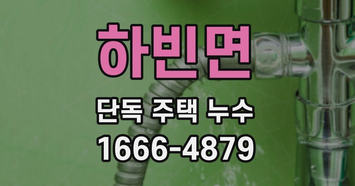 하빈면 단독 주택 누수