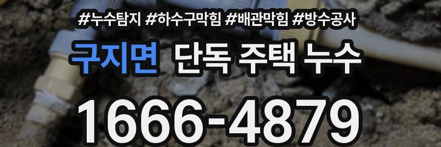 구지면 단독 주택 누수