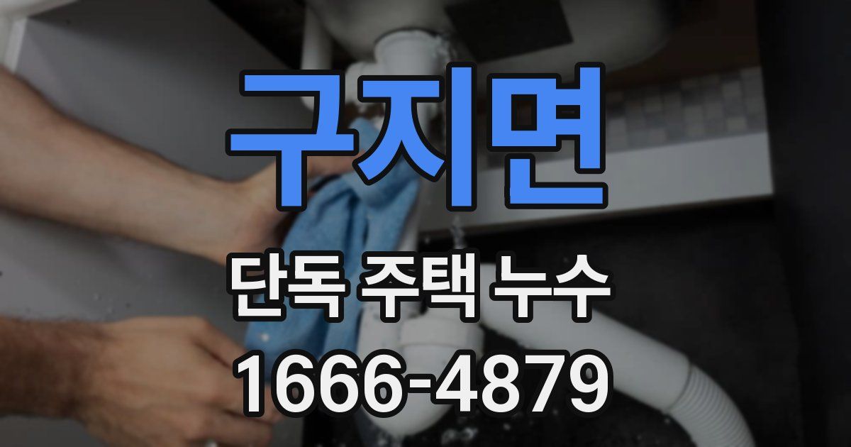 구지면 단독 주택 누수