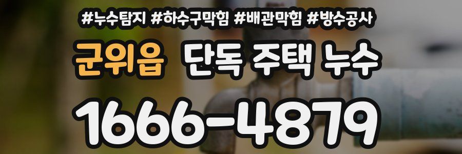 군위읍 단독 주택 누수