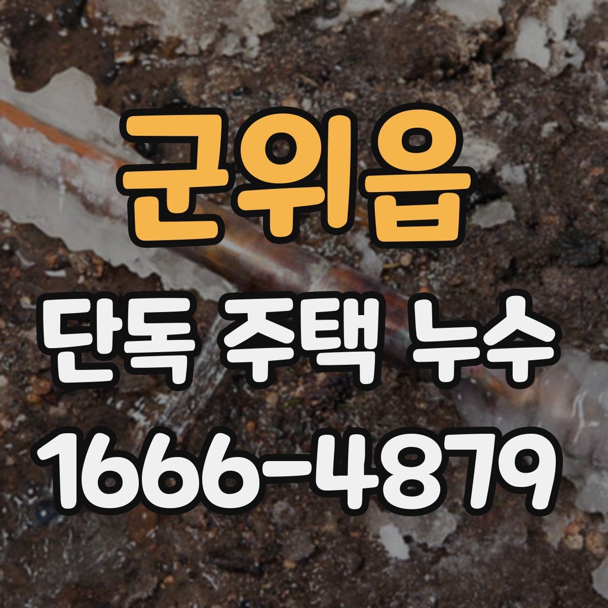 군위읍 단독 주택 누수