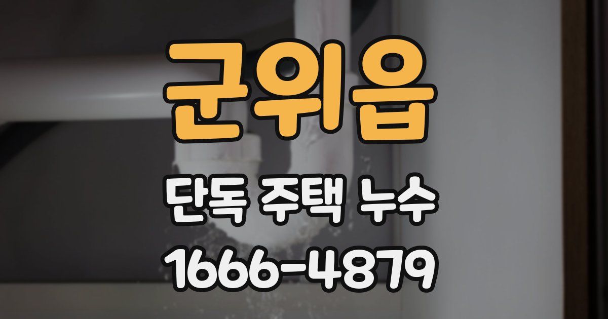 군위읍 단독 주택 누수