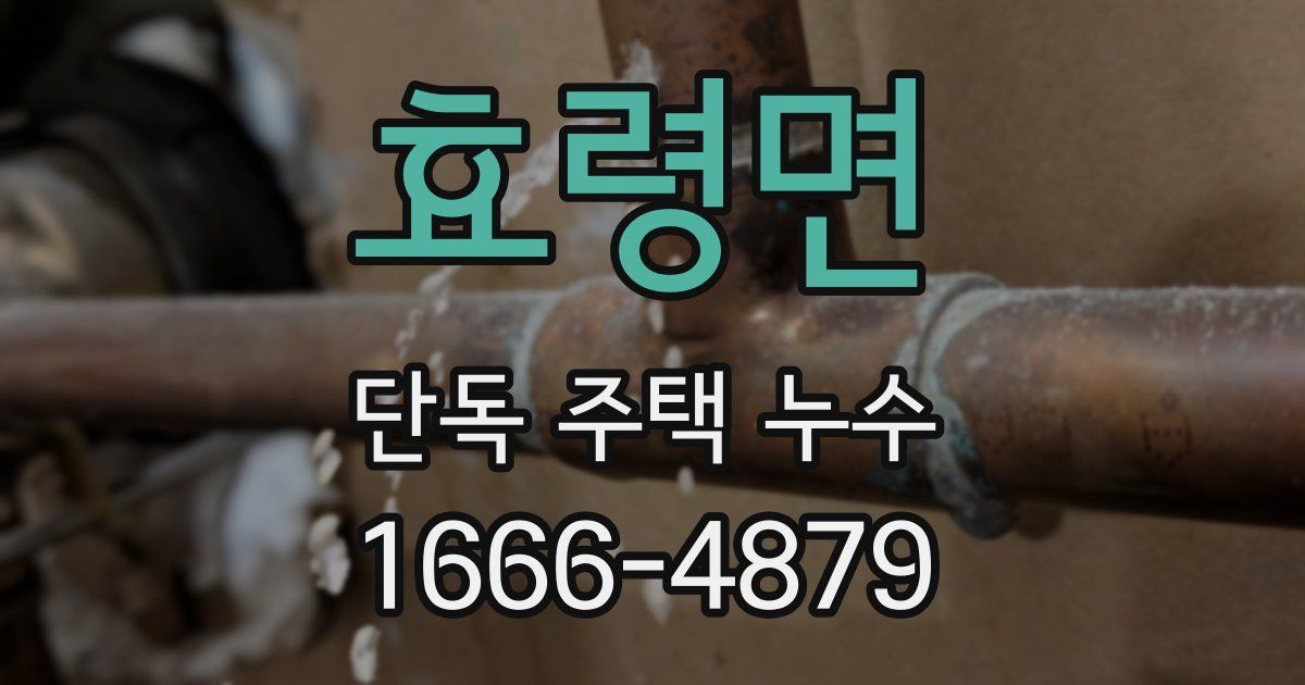 효령면 단독 주택 누수