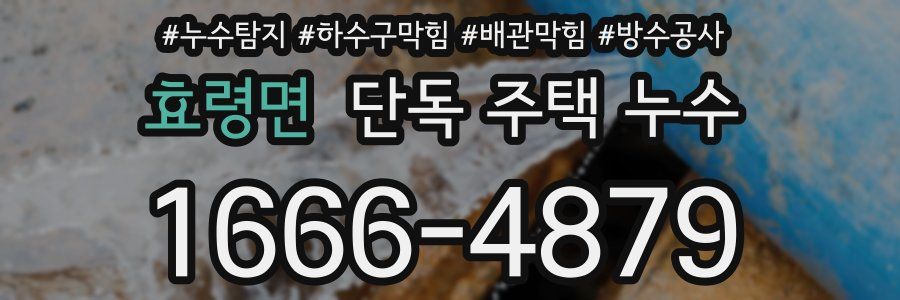 효령면 단독 주택 누수