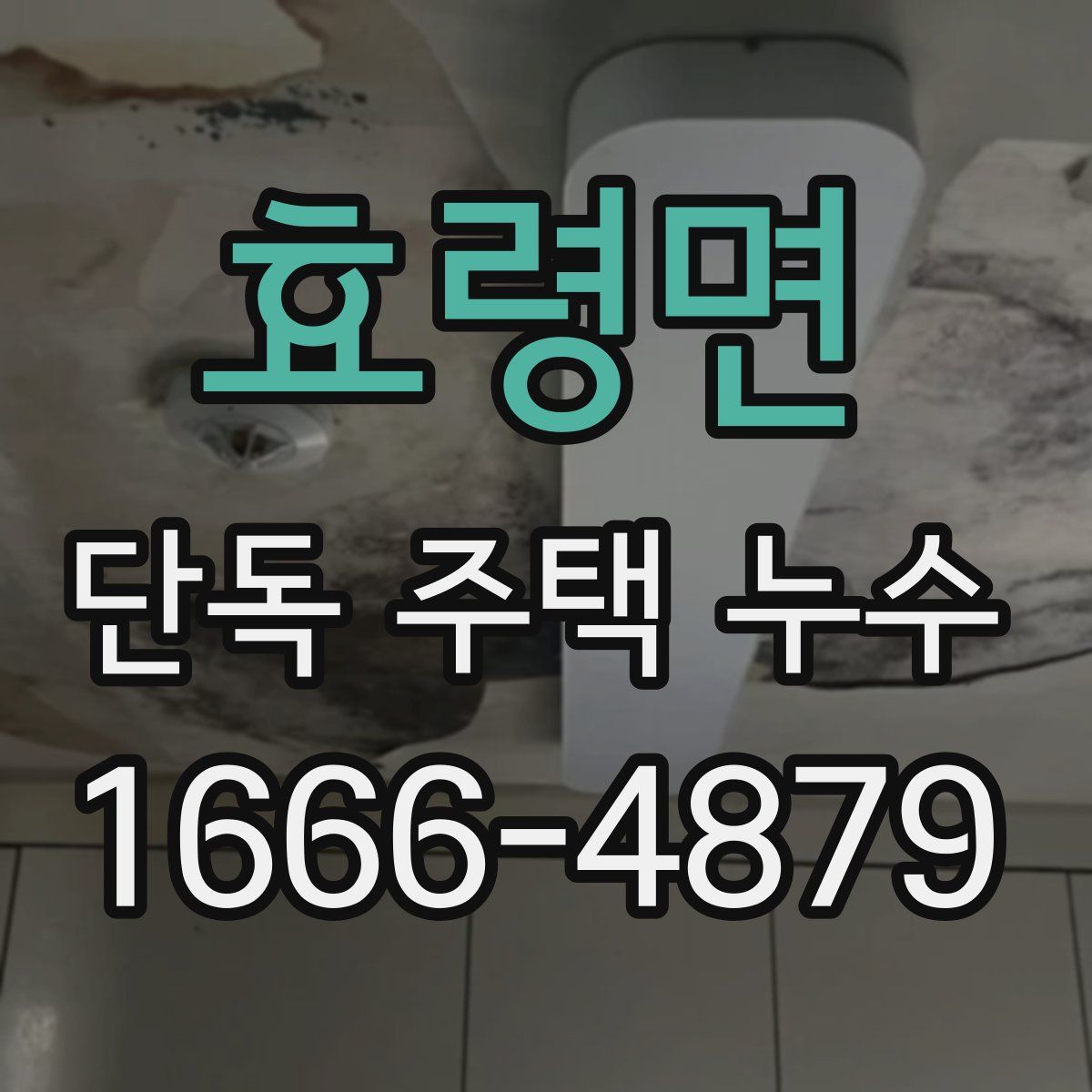 효령면 단독 주택 누수