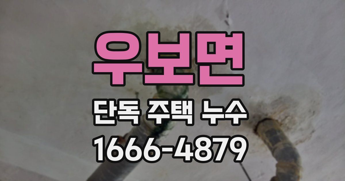 우보면 단독 주택 누수