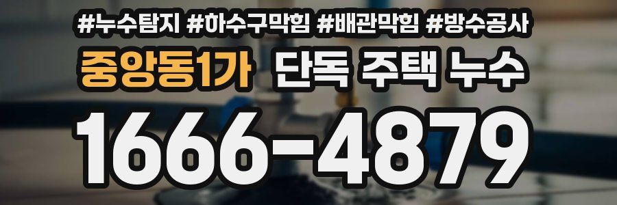 중앙동1가 단독 주택 누수