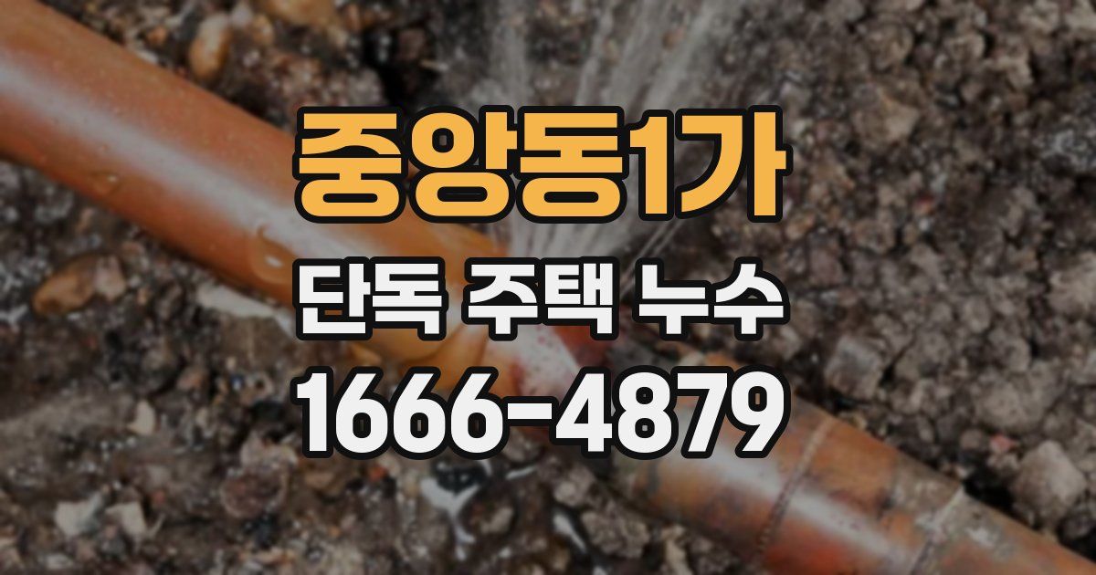중앙동1가 단독 주택 누수