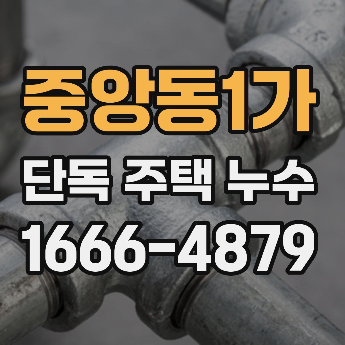 중앙동1가 단독 주택 누수