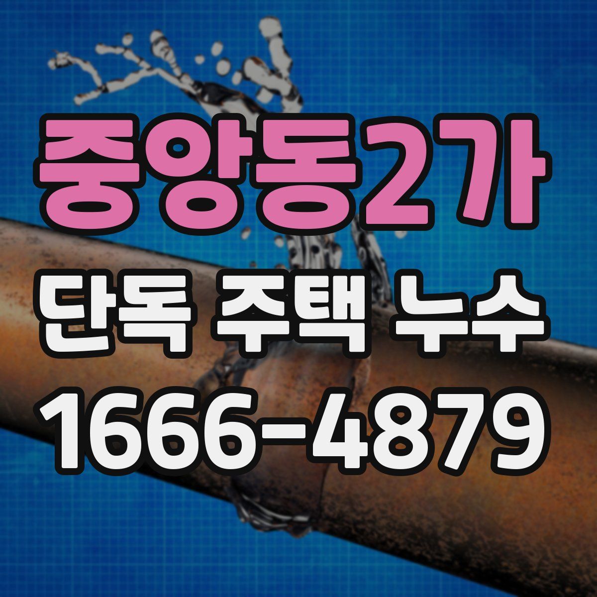 중앙동2가 단독 주택 누수