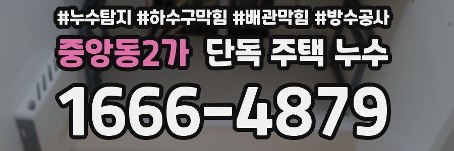 중앙동2가 단독 주택 누수