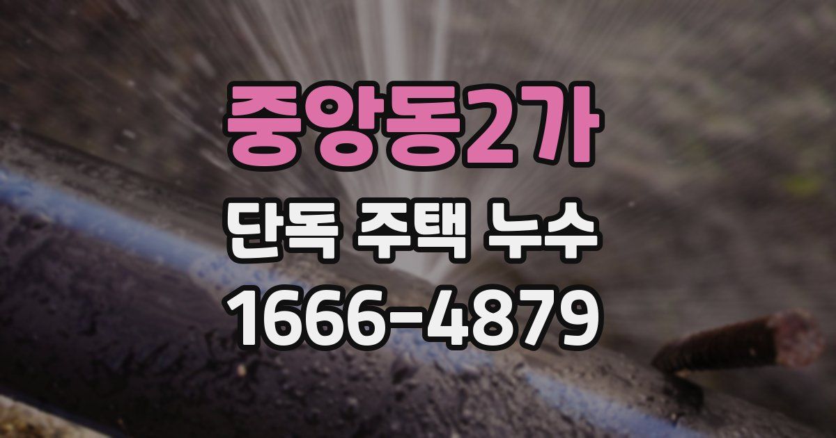 중앙동2가 단독 주택 누수