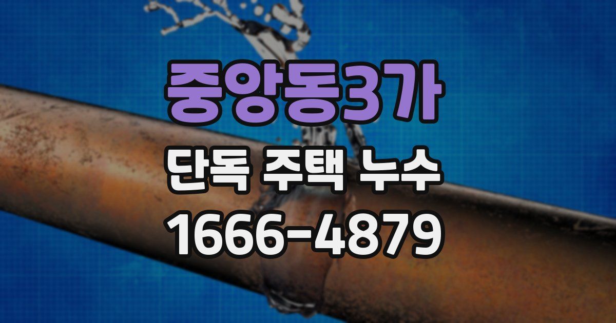 중앙동3가 단독 주택 누수