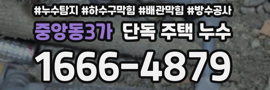 중앙동3가 단독 주택 누수