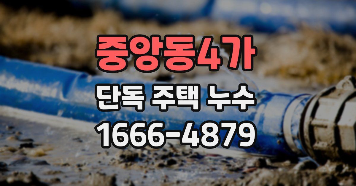 중앙동4가 단독 주택 누수