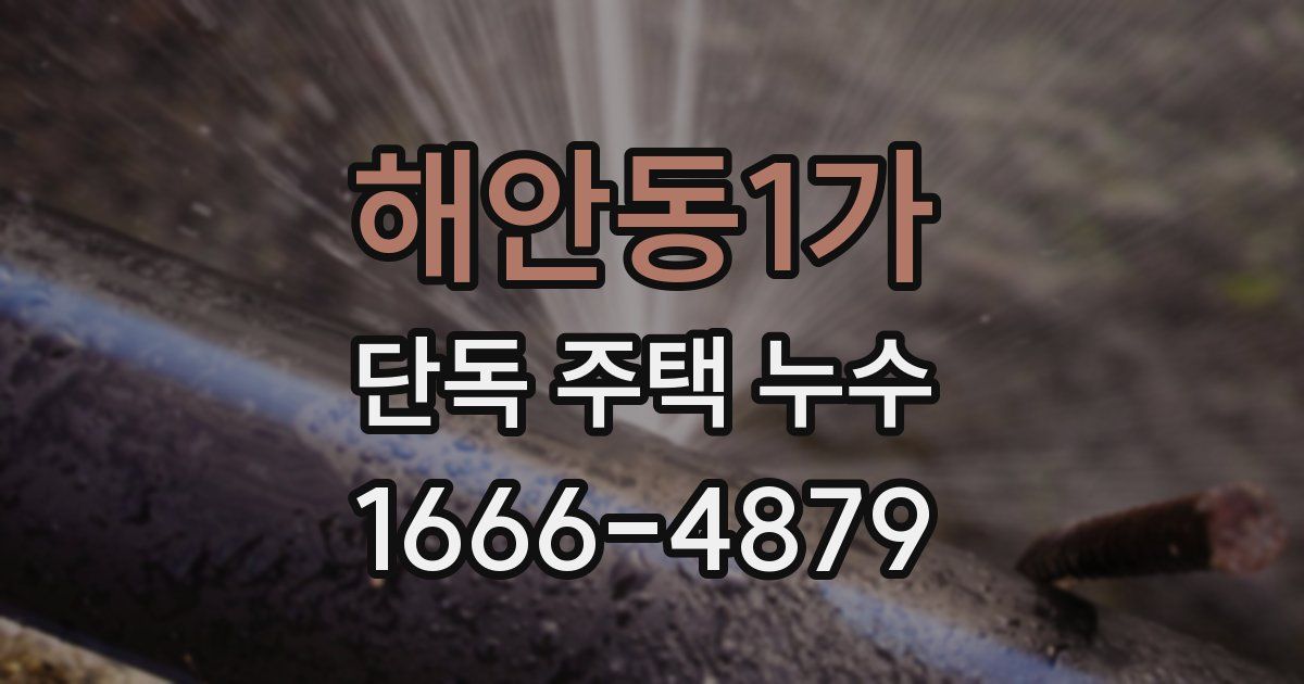 해안동1가 단독 주택 누수