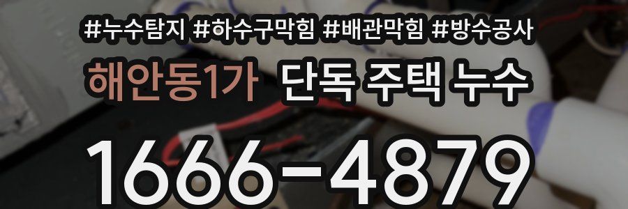 해안동1가 단독 주택 누수