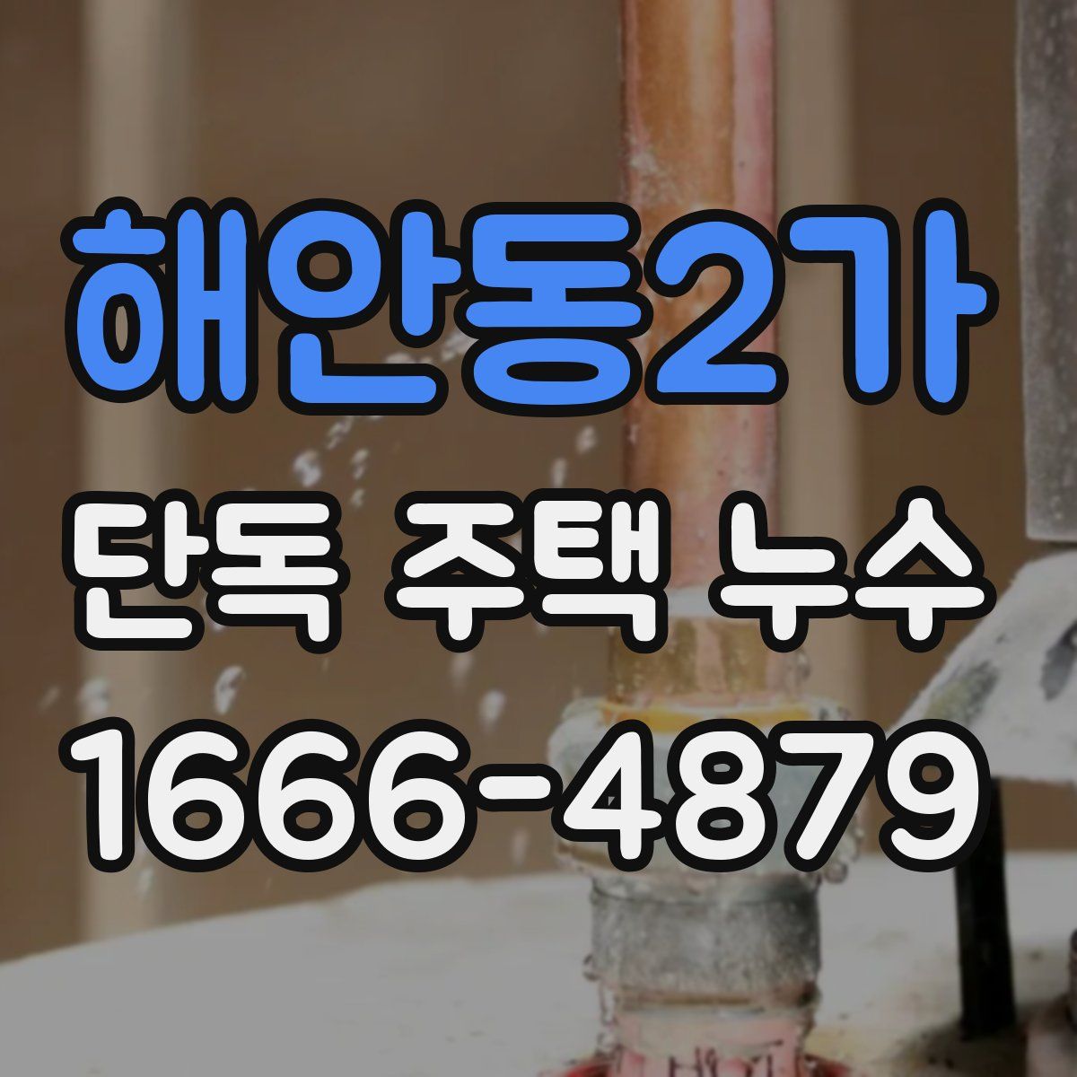 해안동2가 단독 주택 누수