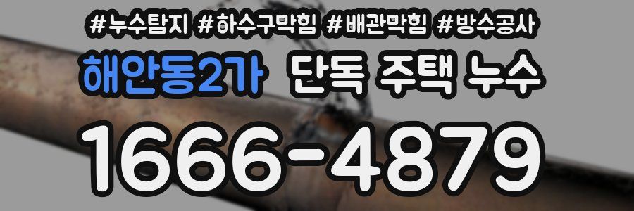 해안동2가 단독 주택 누수