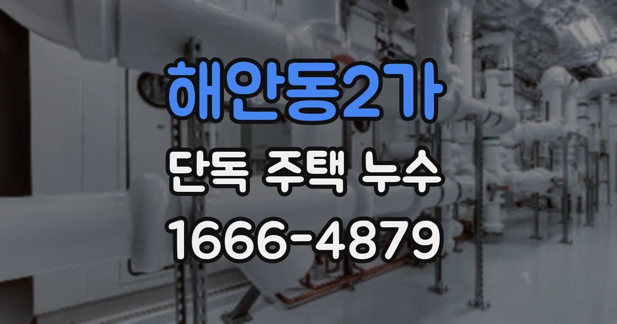 해안동2가 단독 주택 누수