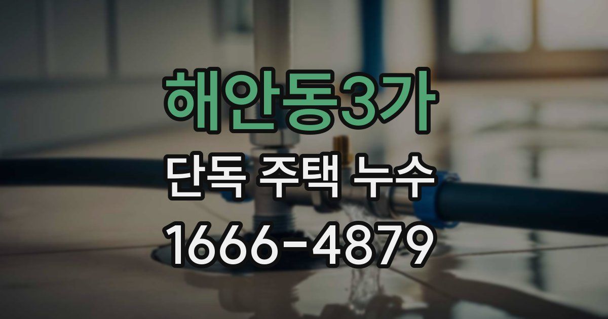 해안동3가 단독 주택 누수
