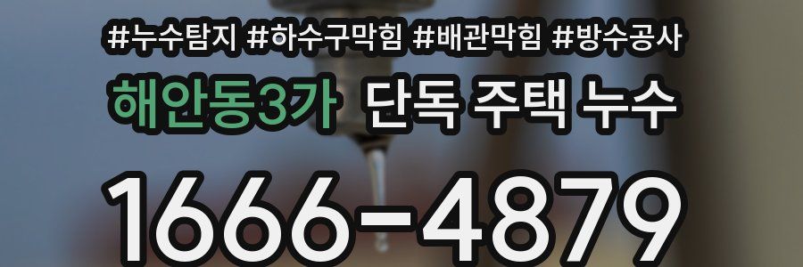 해안동3가 단독 주택 누수