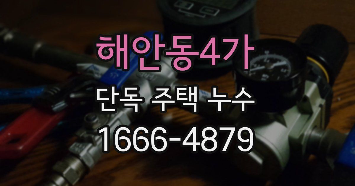 해안동4가 단독 주택 누수