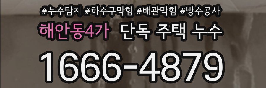 해안동4가 단독 주택 누수