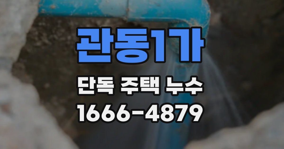 관동1가 단독 주택 누수