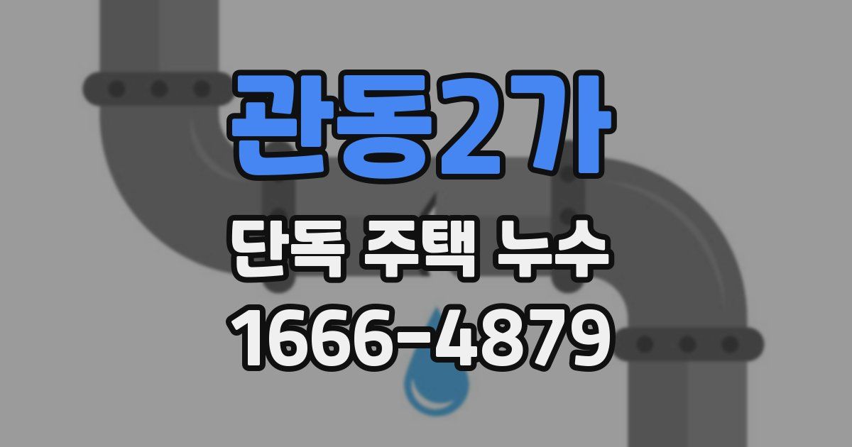관동2가 단독 주택 누수
