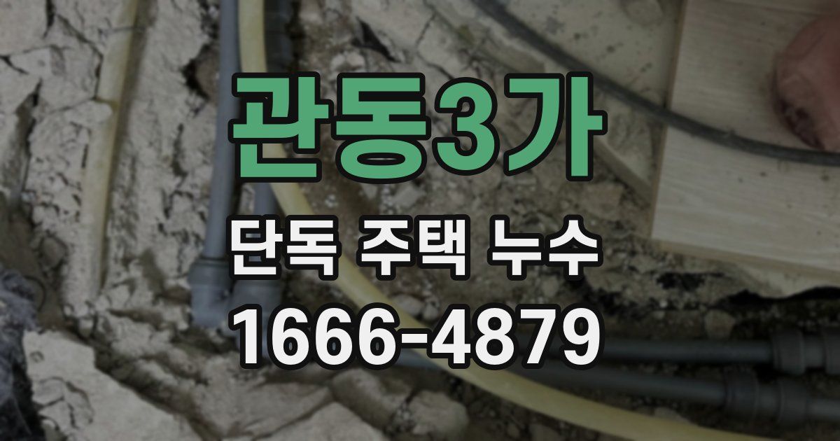 관동3가 단독 주택 누수