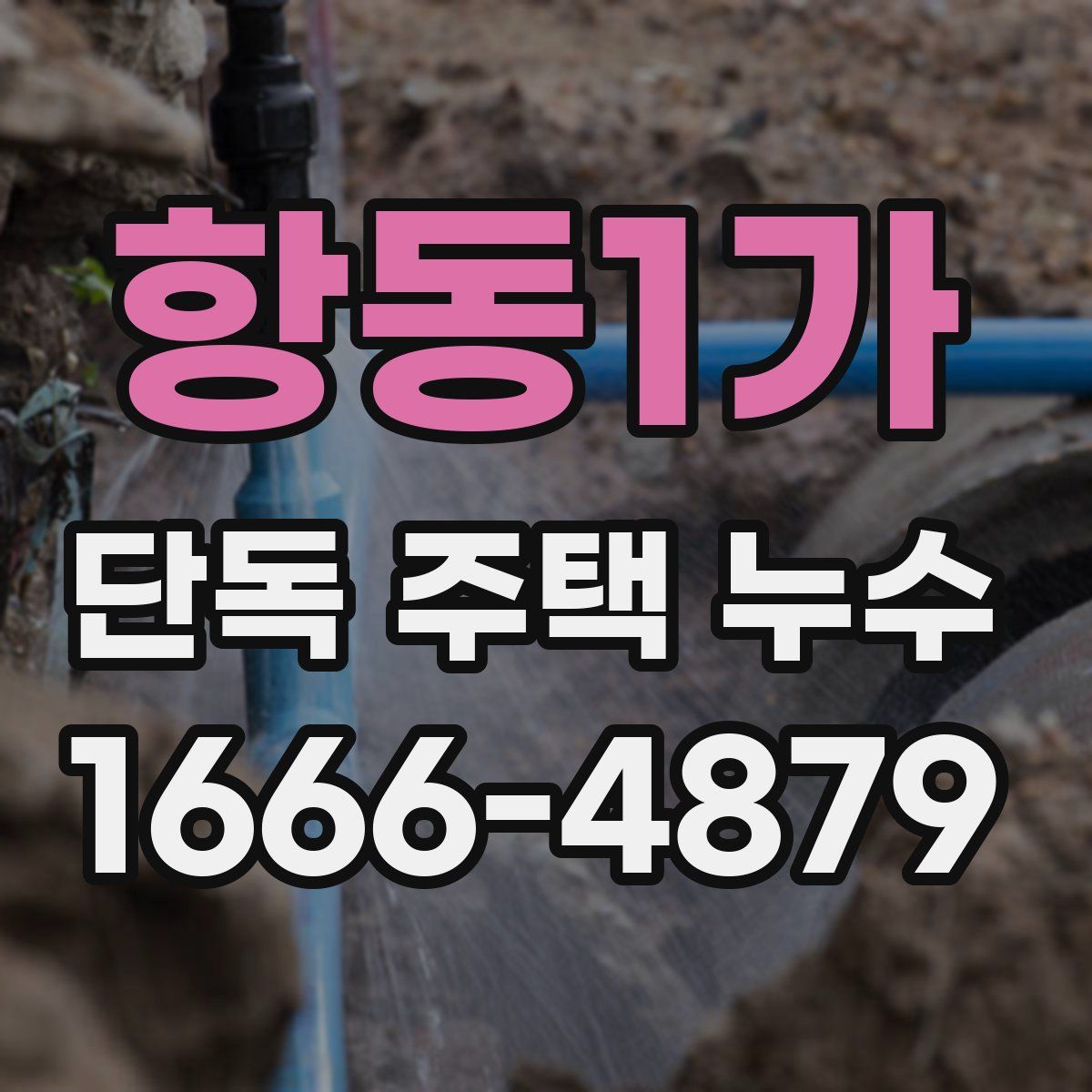 항동1가 단독 주택 누수
