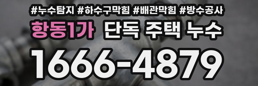 항동1가 단독 주택 누수