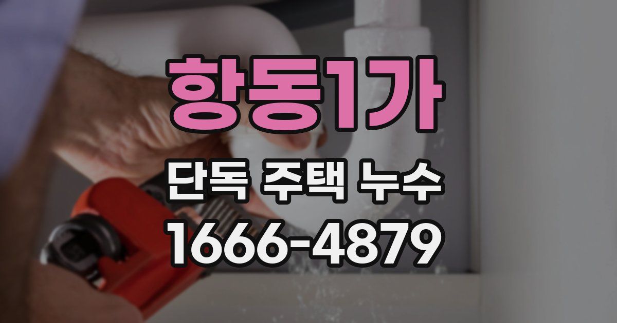 항동1가 단독 주택 누수